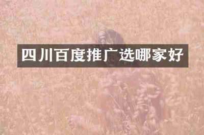 四川百度推广选哪家好