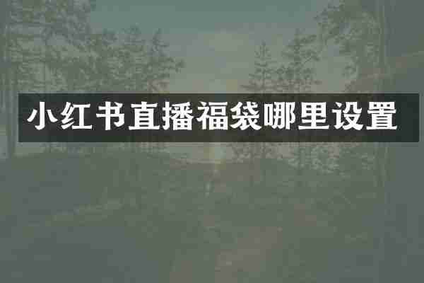 小红书直播福袋哪里设置