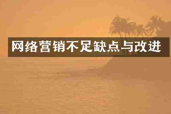 网络营销不足缺点与改进