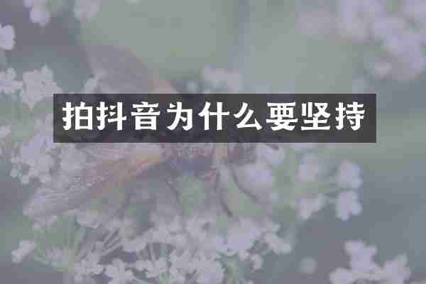 拍抖音为什么要坚持