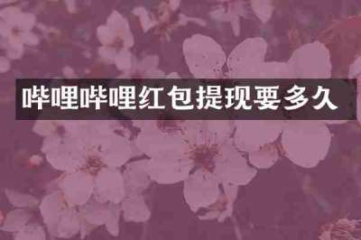 哔哩哔哩红包提现要多久