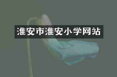 淮安市淮安小学网站