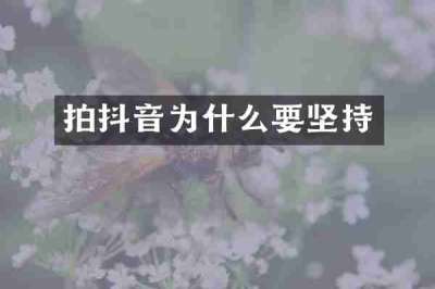 拍抖音为什么要坚持