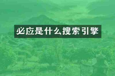 必应是什么搜索引擎
