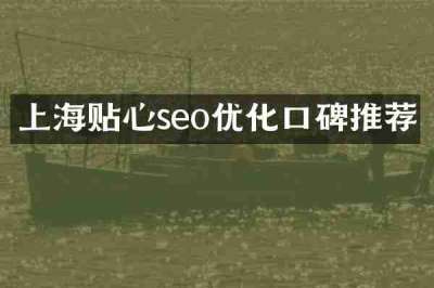 上海贴心seo优化口碑推荐