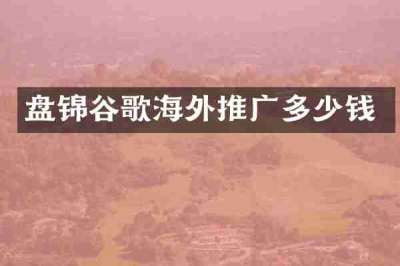 盘锦谷歌海外推广多少钱
