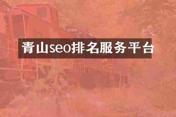 青山seo排名服务平台
