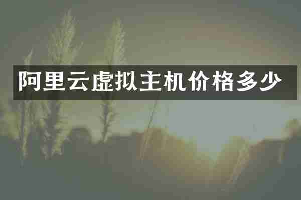 阿里云虚拟主机价格多少