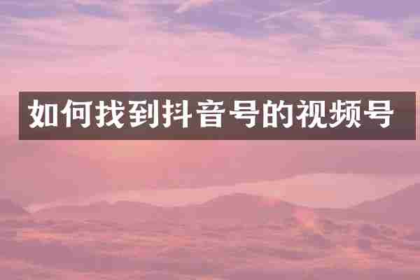 如何找到抖音号的视频号