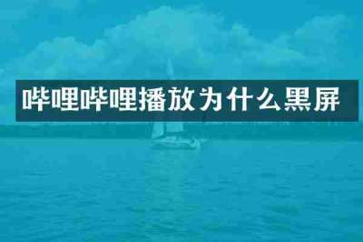 哔哩哔哩播放为什么黑屏
