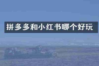拼多多和小红书哪个好玩