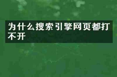 为什么搜索引擎网页都打不开