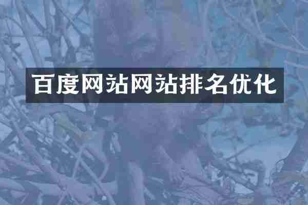 百度网站网站排名优化
