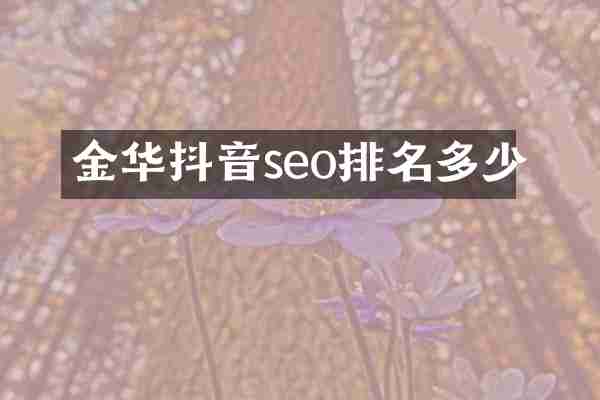 金华抖音seo排名多少