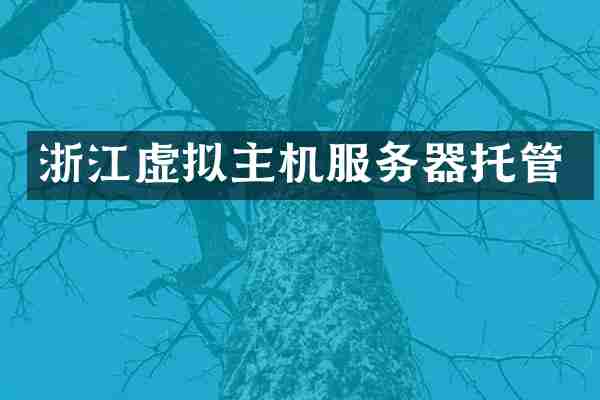 浙江虚拟主机服务器托管