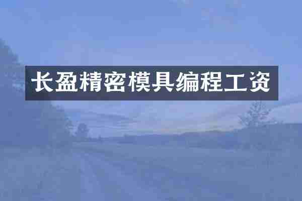 长盈精密模具编程工资