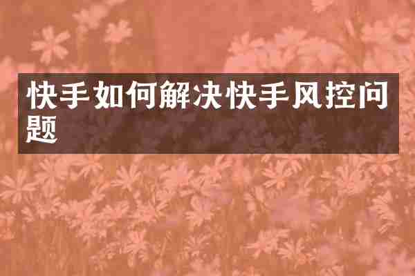 快手如何解决快手风控问题