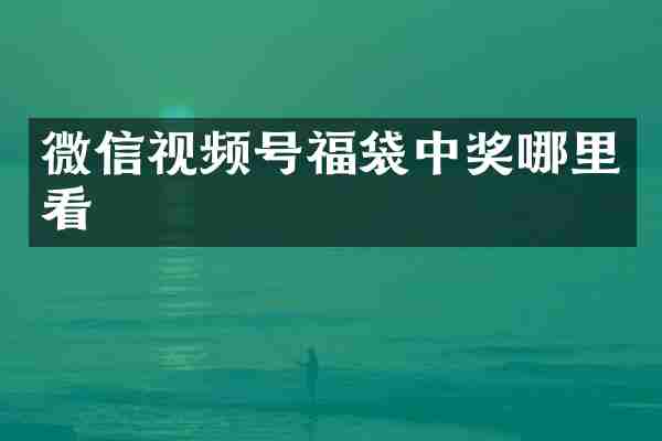微信视频号福袋中奖哪里看