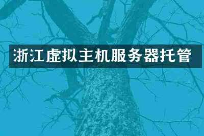 浙江虚拟主机服务器托管