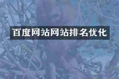 百度网站网站排名优化