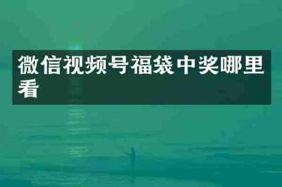 微信视频号福袋中奖哪里看