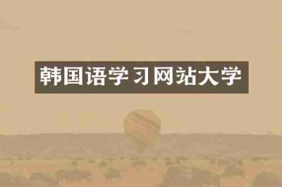 韩国语学习网站大学