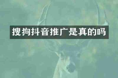 搜狗抖音推广是真的吗
