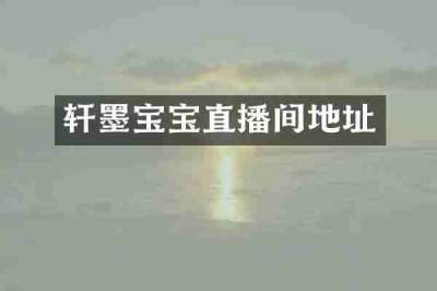 轩墨宝宝直播间地址