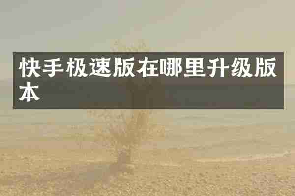 快手极速版在哪里升级版本