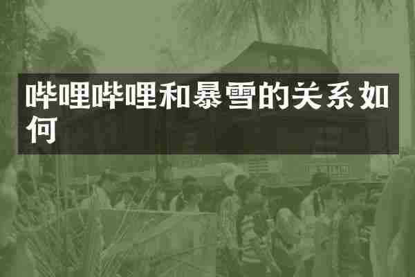 哔哩哔哩和暴雪的关系如何