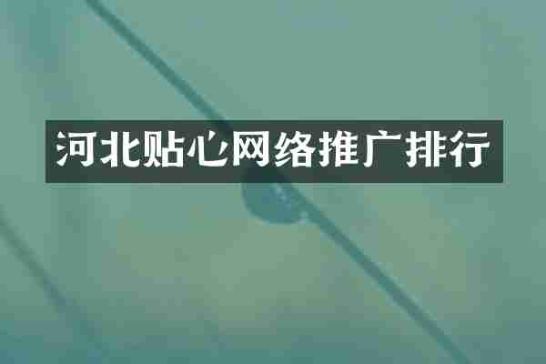 河北贴心网络推广排行