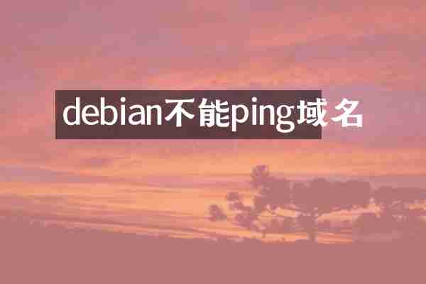 debian不能ping域名