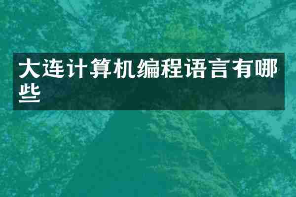 大连计算机编程语言有哪些