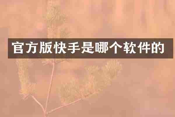 官方版快手是哪个软件的