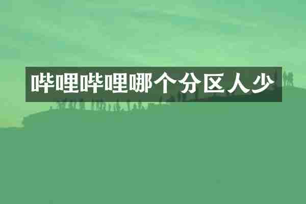 哔哩哔哩哪个分区人少