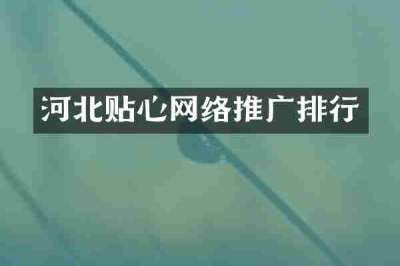 河北贴心网络推广排行