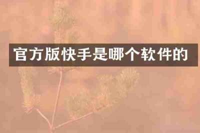 官方版快手是哪个软件的