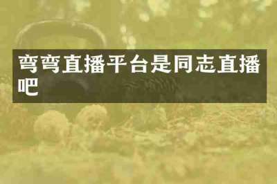 弯弯直播平台是同志直播吧