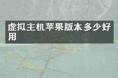 虚拟主机苹果版本多少好用