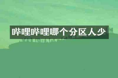 哔哩哔哩哪个分区人少