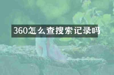 360怎么查搜索记录吗