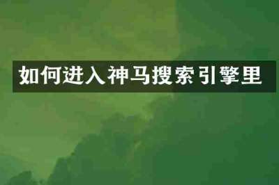 如何进入神马搜索引擎里