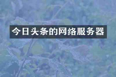 今日头条的网络服务器