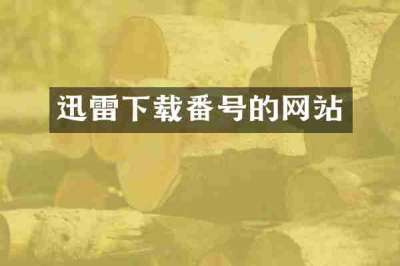 迅雷下载番号的网站
