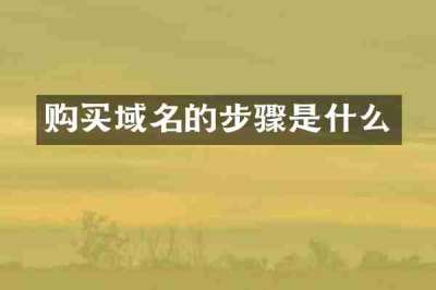 购买域名的步骤是什么