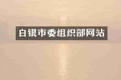 白银市委组织部网站