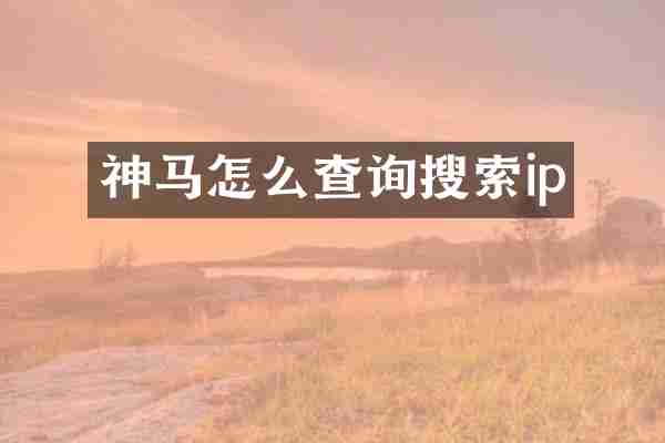 神马怎么查询搜索ip