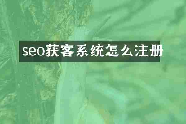 seo获客系统怎么注册