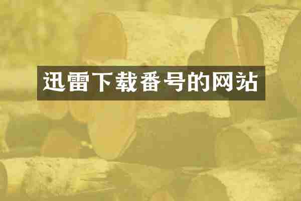 迅雷下载番号的网站