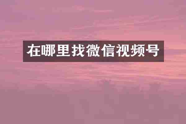 在哪里找微信视频号